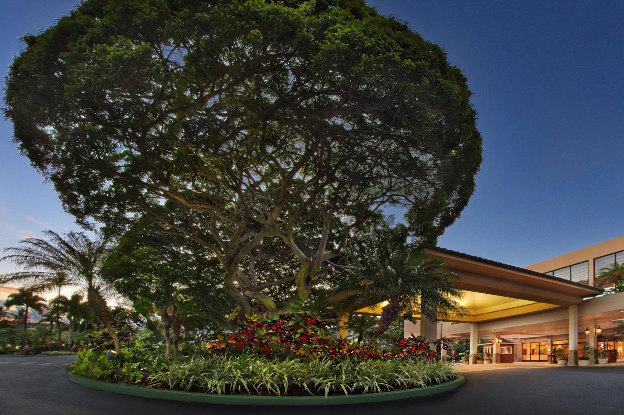 Hotel Marriott'S Maui Ocean Club - Molokai, Maui & Lanai Towers Lahaina Zewnętrze zdjęcie